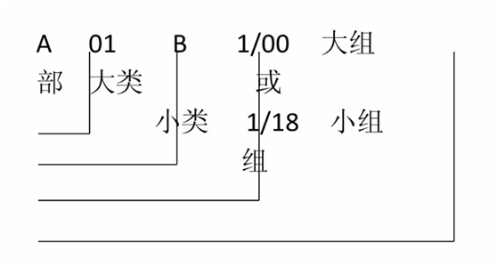 专利分类号含义