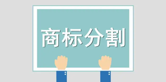 盛阳小讲堂：商标分割的作用及注意事项