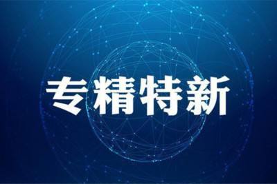 2024年“专精特新”小巨人企业认定流程、条件及全国奖补政策汇总