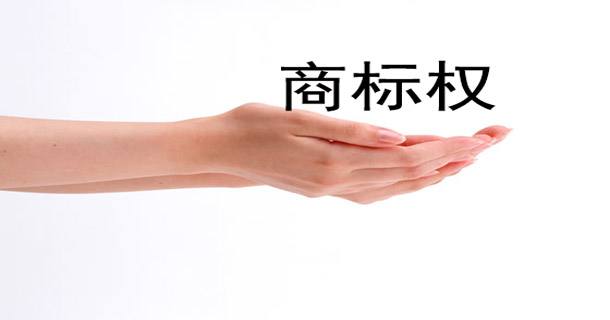 盛阳小讲堂：一文盘点在商标申请中遇到的 “骗局”